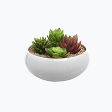 4 inch Realistic Artificial Green Succulent Plant Arrangement 9