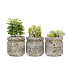 4 inch Realistic Artificial Green Succulent Plant Arrangement 4
