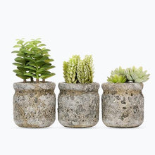 4 inch Realistic Artificial Green Succulent Plant Arrangement 9