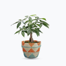 4 inch Realistic Artificial Green Succulent Plant Arrangement 9