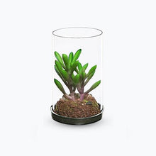 4 inch Realistic Artificial Green Succulent Plant Arrangement 9