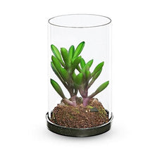 4 inch Realistic Artificial Green Succulent Plant Arrangement 6