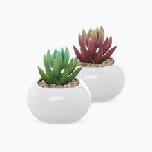 4 inch Realistic Artificial Green Succulent Plant Arrangement 9